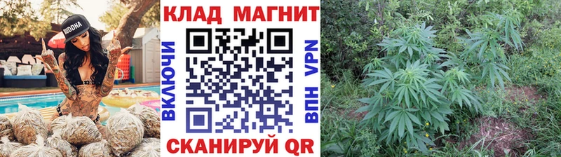 Купить Гашиш  Кокаин  Галлюциногенные грибы  Марихуана  Мефедрон  Княгинино