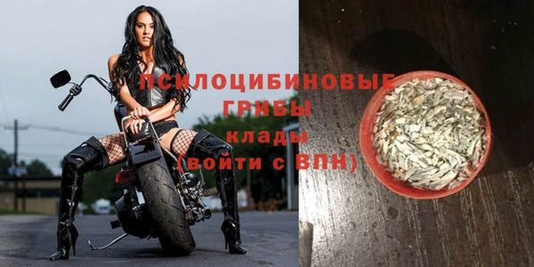 таблы Верхний Тагил