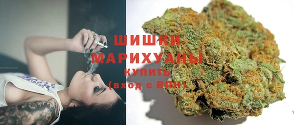 мдпв Михайлов