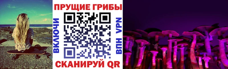 Галлюциногенные грибы MAGIC MUSHROOMS Княгинино
