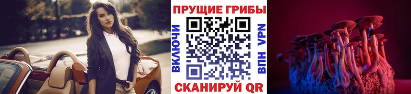 Купить закладки  Княгинино  Галлюциногенные грибы Psilocybine cubensis 