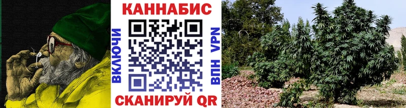 Каннабис план  Купить  Княгинино 
